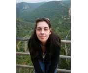 ���� ���������