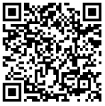 ����� WebMoney Voice �������� ���������� ��������� � ������� ��������� Twofish